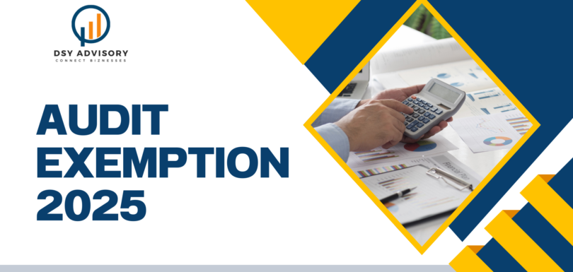 Audit Exemption